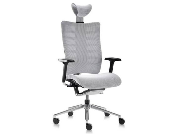 Chefsessel Bürosessel Drehsessel Nowystyl Sitag Swiss Style Ego AM KS Netzlehne Omega Auswahl Farbe Optionen Chefsessel Bürosessel Drehsessel Nowystyl Sitag Swiss Style Ego AM KS Netzlehne Omega Auswahl Farbe Optionen von Nowy-Styl