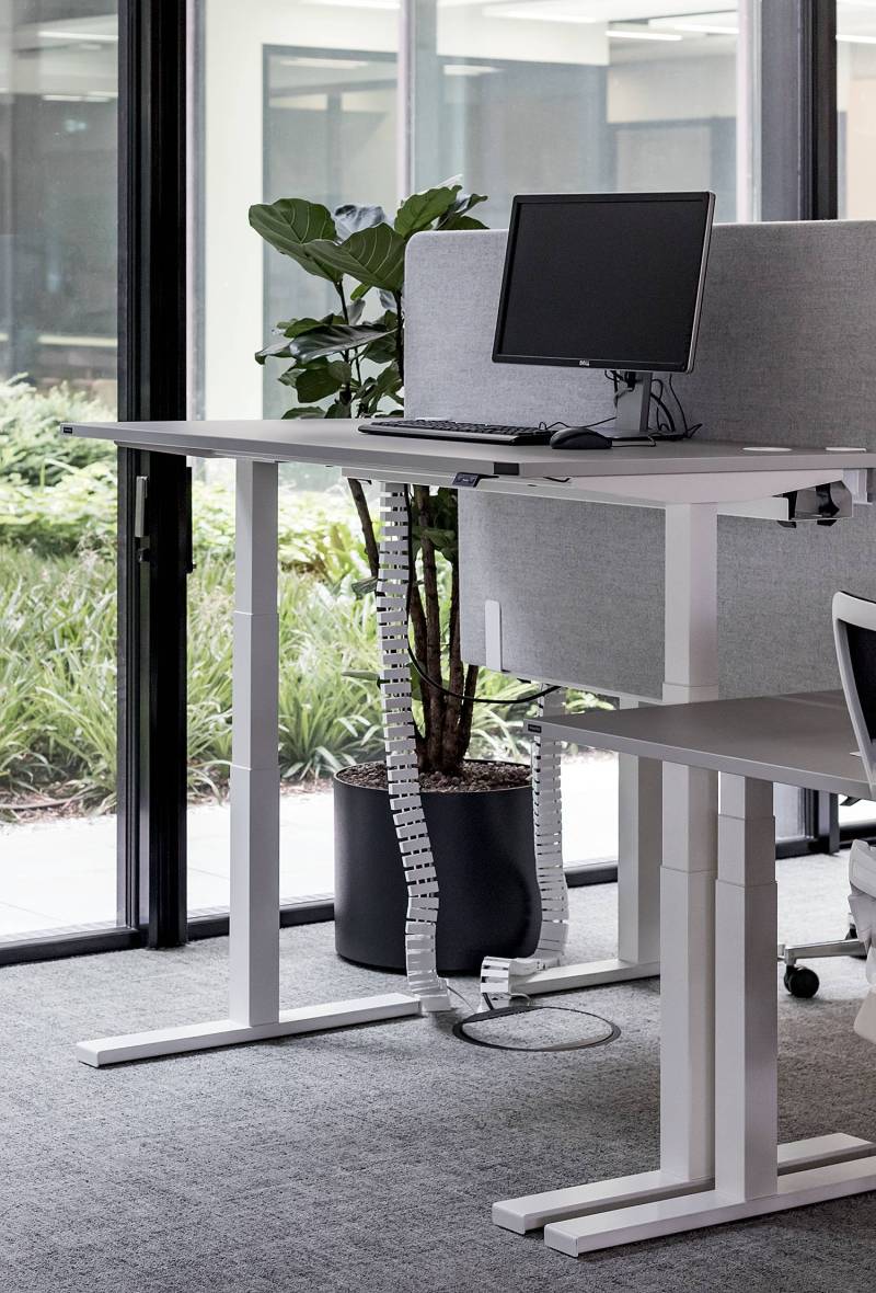 home24 Verstellbarer Schreibtisch eModel 2.0 120cm Grau/Grau/Weiß Höhenverstellbar von home24