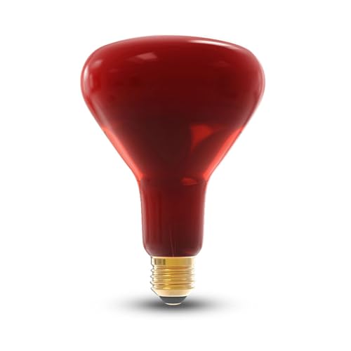NuLoXx Infrarot Wärmelampe R125 250W E27 rot, 220-240V, Wäremlampe für Tiere wie Reptilien, Tieraufzucht NuLoXx Infrarot Wärmelampe R125 250W E27 rot, 220-240V, Wäremlampe für Tiere wie Reptilien, Tieraufzucht von NuLoXx