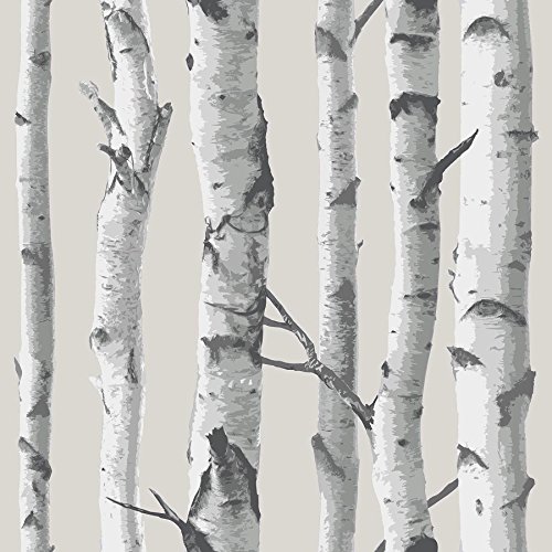 NuWallpaper NU1650 "Birch Tree" Peel and Stick Wallpaper, Taupe, 0.1 in*216.0 in*20.5 in von NuWallpaper