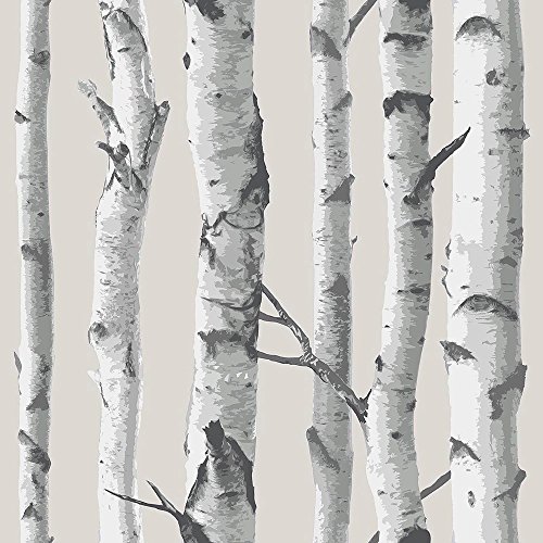 NuWallpaper NU1650 "Birch Tree" Peel and Stick Wallpaper, Taupe, 0.1 in*216.0 in*20.5 in NuWallpaper NU1650 "Birch Tree" Peel and Stick Wallpaper, Taupe, 0.1 in*216.0 in*20.5 in von NuWallpaper
