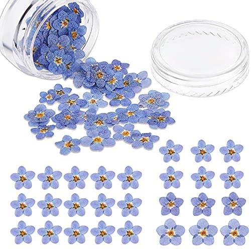 Nuanchu 100 Stück Natürliche Getrocknete Vergissmeinnicht Blumen Trockenblumen Echte Getrocknete Gepresste Blumen für Schmuck Kerzen Karten Herstellung DIY Harz Ornamente Nagel Kunst Deko von Nuanchu