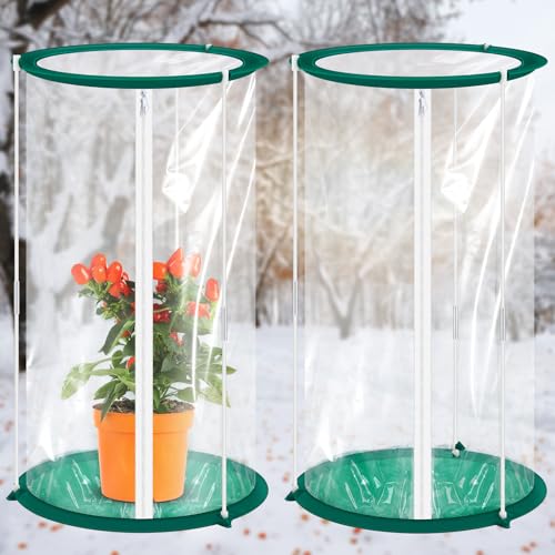 Nuanchu 2 Stück Mini Gewächshaus 19,7 x 10,2 Zoll Tragbare Pflanze Blumen Mini Gewächshaus Abdeckung PVC Klar Gewächshaus für Indoor Outdoor Gartenarbeit Nuanchu 2 Stück Mini Gewächshaus 19,7 x 10,2 Zoll Tragbare Pflanze Blumen Mini Gewächshaus Abdeckung PVC Klar Gewächshaus für Indoor Outdoor Gartenarbeit von Nuanchu