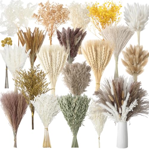 Nuanchu Getrocknetes Pampasgras, Dekoration, Boho-Blumenstrauß mit Hasenschwanz, Schilfgras für Hochzeit, Zuhause, Tisch, rustikales Bauernhaus, Party, Büro (Retro-Stil), 703 Stück von Nuanchu