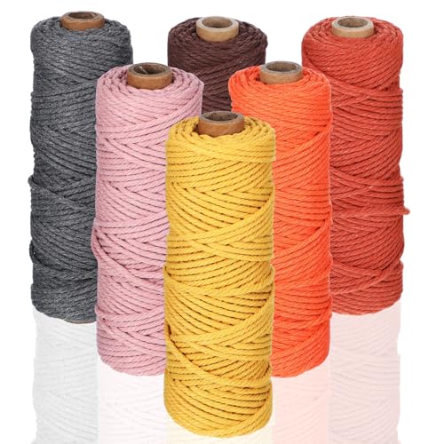 Nuanchu Makramee-Schnur, 3 mm x 300 m, Baumwollseil, farbiges Garn, Set für Heimwerker, Wandpflanzenaufhänger, Basteln, Stricken, 6 Farben (tiefe Herbstfarben) von Nuanchu