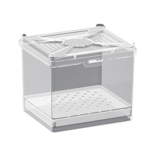 Nudorpn Spinnen Terrarium - Futterbox | Belüfteter Lebensraum Für Wissenschaftsprojekte Bildung Zuhause Wohnzimmer Reisen Camping Nudorpn Spinnen Terrarium - Futterbox | Belüfteter Lebensraum Für Wissenschaftsprojekte Bildung Zuhause Wohnzimmer Reisen Camping von Nudorpn