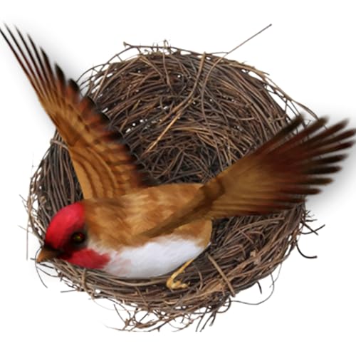 Nudorpn Vogelnest-Dekoration, Vogelnest, handgefertigt, gewebt, flache Basis, kleines Bett für Haustiere, Zubehör für Vogelkäfig, für den Garten Nudorpn Vogelnest-Dekoration, Vogelnest, handgefertigt, gewebt, flache Basis, kleines Bett für Haustiere, Zubehör für Vogelkäfig, für den Garten von Nudorpn
