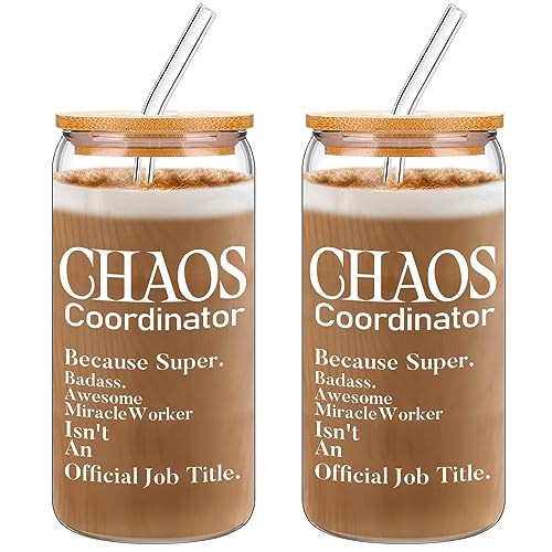 2 Stück Freunde Geschenke Coach Geschenke Chaos Koordinator Geschenke für Frauen 473 ml Glas Kaffeebecher Tasse für Freundschaft Geburtstag Geschenke Wertschätzung Dankeschön Geschenk Coach Schwestern von Nuenen