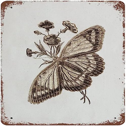 Blechschild im Vintage-Stil, Motiv: Schmetterling, lustige Schilder, Metallposter, Dekoration, Geschenke für Büro, Zuhause, Schlafzimmer, Küche, Garten, Männerhöhle, Café, Shop, Bar, Yoga-Raum, Garage von Nufar