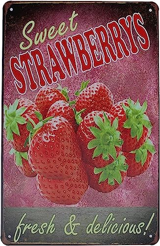 Erdbeer-Dekorationen für die Küche, Vintage, Erdbeer-Blechschild, Erdbeer-Metall-Blechschild, Retro-Garage, Garten, Küche, Bar, Restaurant, Wanddekoration, Erdbeer-Dekor, 20,3 x 30,5 cm von Nufar