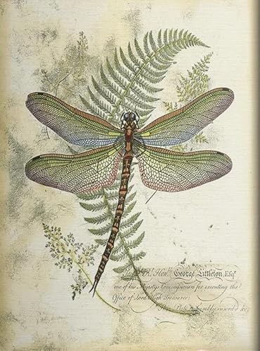 Metall-Blechschild im Vintage-Retro-Stil, Motiv: Blumenpflanze, Libelle, Poster, Eisen, Gemälde, Kunstdruck, Schilder, Geschenk, Heimdekoration, Geschenk für Libellen-Liebhaber, Geburtstag, Urlaub von Nufar