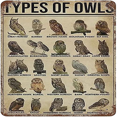 Metall-Blechschild mit Eulen-Wissen, Vintage-Stil, Eulen-Motiv, Vintage-Kunst-Poster, Wanddekoration, Plakette, Schule, Café, Schlafzimmer, Badezimmer, Küche, Zuhause, Bar, Kaffee, Garage von Nufar