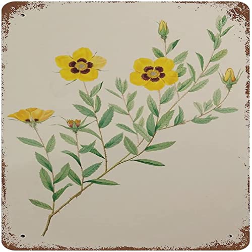 Metallschild mit Vintage-Blumenmuster, Vintage-Wanddekoration für Zuhause, Wohnzimmer, Schlafzimmer, Küche, Badezimmer, Café, Bar, Garten, Garage, Bauernhof, Kunst, Metallschild, 30,5 x 30,5 cm von Nufar