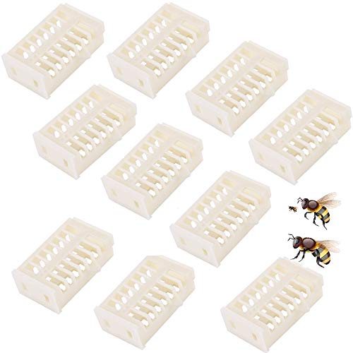 nuluxi Biene Königinnenzucht Käfige Fänger Königin Bienen Käfige Imker Bienenkönigin Fänger Ja Wichtige Ausrüstung für Imker und EIN Guter Helfer für Einführung von Königinnenzucht (10 Stück, Weiß) von nuluxi