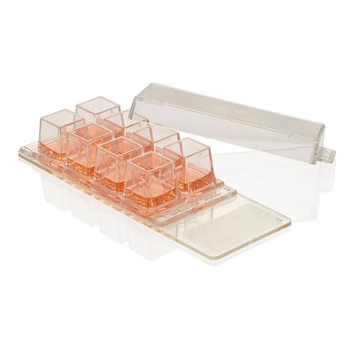 Nunc Thermo Scientific 177437 ChamberSlides, Lab-Tek, 4 Kammern, Permanox, CC, Deckel, Steril (96-er Pack) von Nunc Thermo Scientific