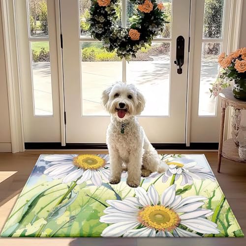 Nunubee Floral Daisy Fußmatte - rutschfest Saugfähig Teppich für Haustür, Flur & Küche - Staub-Abbau-Mat von Nunubee