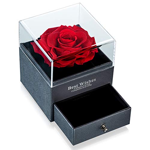 NUPTIO Rot für Immer Rose für Freundin Erhalten, Echte Ewige Rose Blume Geschenk Hochzeitstag Geburtstags für Sie, Unendlich Frische Blume mit Schmuck Geschenkbox für Valentinstag Muttertag von NUPTIO