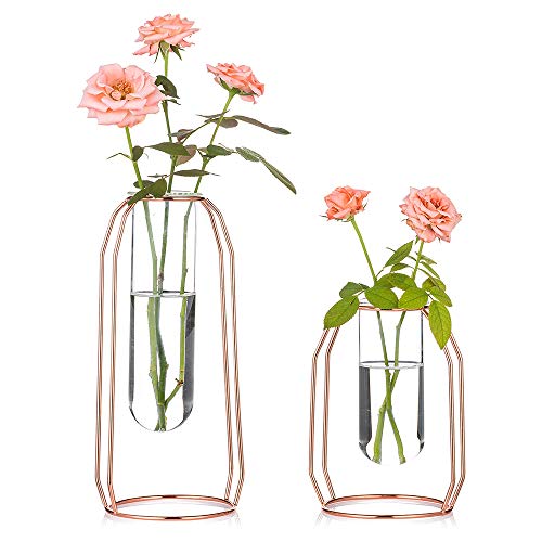 NUPTIO Vasen 2er Set Glasvasen mit Metallrahmen, Modernen Roségold Rahmen, Transparenten Vasen Pflanzterrarien, Blumenhalterdekorationen für Hochzeit, Wohnzimmer, Büro, Party von NUPTIO