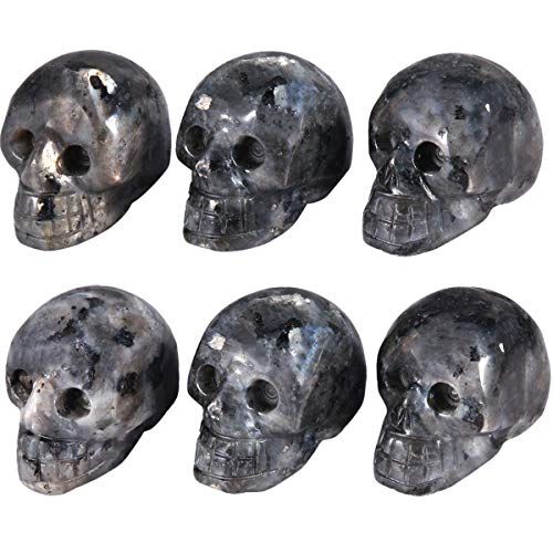 Nupuyai 6er Set Kristallschädel Edelstein Totenkopf Skulptur Handgeschnitzt Kristall Schädel Heilstein Statue Figur Reiki Dekoration von Nupuyai