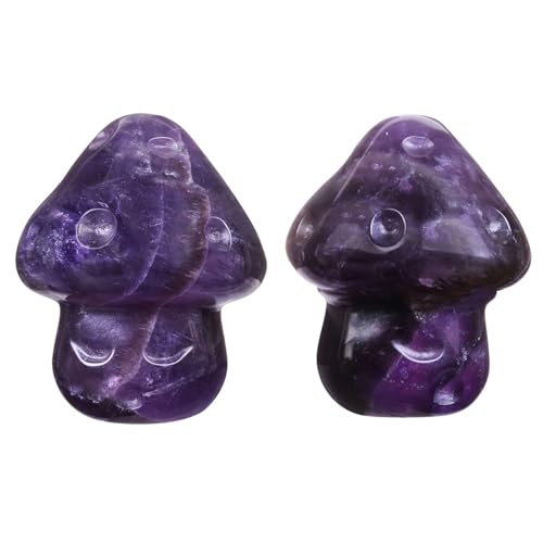 Nupuyai Packung mit 2 Kristall Pilz Figur Deko, Geschnitzte Mini Figuren Pilz Skulptur Heilstein Glücksbringer Taschensteine für Haus Garten Miniatur Feengarten Micro Landschaft Blumentopf Deko von Nupuyai
