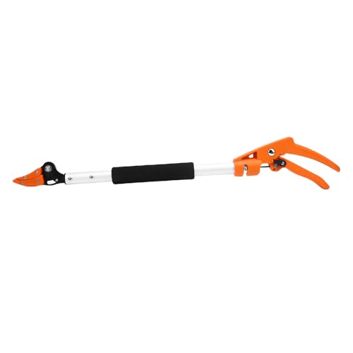 Nurnesy 2ft Professionelle Obstpicker -Schere - Ideal für Persimon, Gurke, Traube und Pfirsich -Ernte Nurnesy 2ft Professionelle Obstpicker -Schere - Ideal für Persimon, Gurke, Traube und Pfirsich -Ernte von Nurnesy