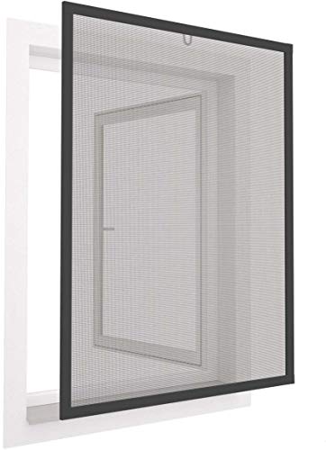 easy life Insektenschutz Fenster greenLINE 100 x 120 cm in Anthrazit Fliegengitter mit ALU Rahmen Insektenfenster ohne Bohren individuell kürzbares Fliegennetz von Nutritrust