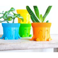 Bunte Und Fröhliche Vase Für Pflanzen, Sukkulentenvase, Heimdekoration, Geschenkidee, Stifthalter, Mr. Pot-Modell, 3D-Druck von NuttoCreations