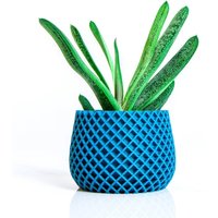 Pflanztopf , Sukkulenten Vase Blumentopf Baumschulvasen Wohnkultur Geschenkidee Stifthalter 3D-Druck von NuttoCreations