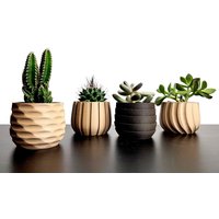 Set Sukkulenten Töpfe, 4Er Set Pflanzentöpfe, Kinderzimmer Minimal Home Decor, Geschenkidee, Stifthalter, Shetland Set Sukkulenten Töpfe, 4Er Set Pflanzentöpfe, Kinderzimmer Minimal Home Decor, Geschenkidee, Stifthalter, Shetland von NuttoCreations