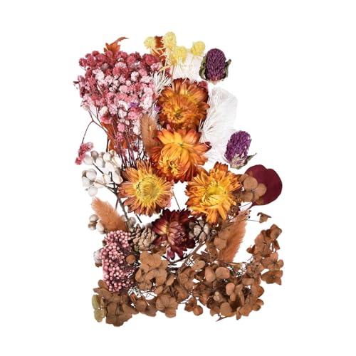 Konserviertes Blütenharz – Epoxidharzblüten, Blüten-Bastelmaterialien | Konservierte, Lebendige Blüten, Kerzenherstellung, 10 Farbtöne, Harzmaterialien Für Die Herstellung Duftender Kerzen, Epoxidharz von Nuyhadds