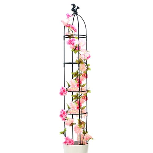 Rankturm Obelisk Garten - Rosenstütze Pflanzenhalter Metall, Gartenstütze Kletterhilfe Rund | Robuste Metall rankhilfe für gartenpflanzen, klettergestell rund für blumenranken, kletterrosen von Nuyhadds