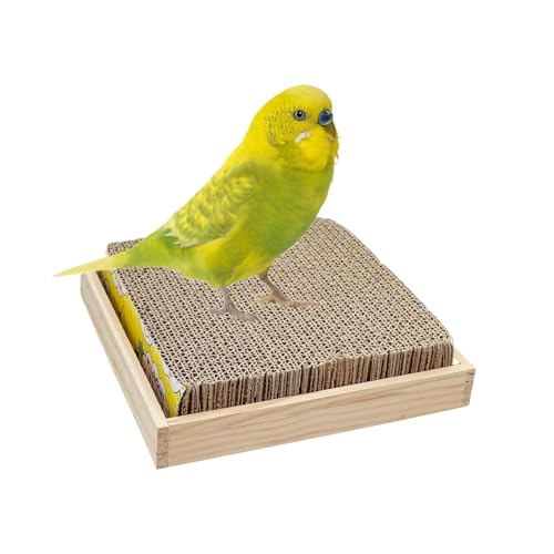 Bird Perches for Cage, Parrot Chewable Cardboard Toy Perch Shredding Enrichment, Interactive Aviary Accessory Macaws, Parakeets, Budgies, Cockatiels, Ideal Indoor Cage Play and Mental Stimulation von Nuyhgtr