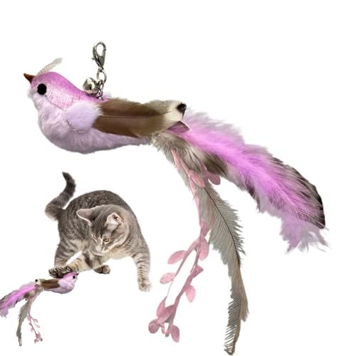 Interaktives Vogel Katzen Spielzeug,Bereicherndes Feder-Spielzeug Interaktiv | Kitten Bereicherung Spielzeug mit Glöckchen,Zur Beschäftigung Gegen Langeweile Spiel Und Bewegung Für Wohnungskatzen von Nuyhgtr