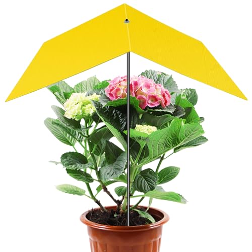 Schutz Für Pflanzen - Pflanzenschirm Sonnenschutz,Hitzereduzierender Überzug Mit UV Schutz Für Gewächshaus Schule Marktstand Garten Bonsai von Nuyhgtr