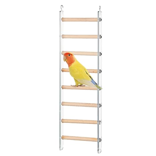 Bird Ladder, Cage Climbing Accessory, Exercise Perch Toy, Sturdy Safe Wood Design, Promotes Activity and Play, Ideal for Parakeets, Parrots, Cockatoos, Lovebirds, Small Birds Bird Ladder, Cage Climbing Accessory, Exercise Perch Toy, Sturdy Safe Wood Design, Promotes Activity and Play, Ideal for Parakeets, Parrots, Cockatoos, Lovebirds, Small Birds von Nuytghr