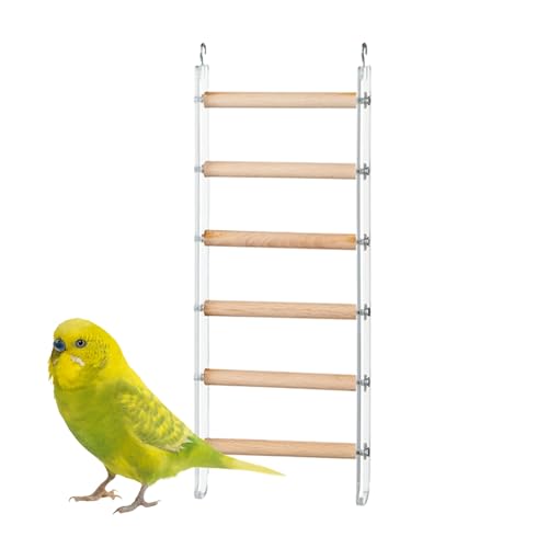 Bird Ladder, Cage Climbing Accessory, Exercise Perch Toy, Sturdy Safe Wood Design, Promotes Activity and Play, Ideal for Parakeets, Parrots, Cockatoos, Lovebirds, Small Birds Bird Ladder, Cage Climbing Accessory, Exercise Perch Toy, Sturdy Safe Wood Design, Promotes Activity and Play, Ideal for Parakeets, Parrots, Cockatoos, Lovebirds, Small Birds von Nuytghr