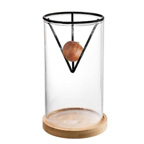 Nuytghr Avocado-Baum-Anzucht-Set, 3-teiliges Startervase mit Holzsockel, 21,3 x 15 cm, Glas-Anzucht-Blumentopf für den Anbau von Avocadosprossen, perfekt für Frauen und Anfänger von Nuytghr