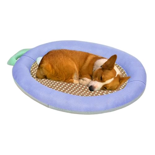 Nuytghr Kühlende Hundematte, kühles Schlafbett für den Innenbereich, kaufest, kühlendes Bett für Hundehütte, Welpen, Katzen, Innenbereich, Zuhause, Reisen, Haustiere an warmen Tagen Nuytghr Kühlende Hundematte, kühles Schlafbett für den Innenbereich, kaufest, kühlendes Bett für Hundehütte, Welpen, Katzen, Innenbereich, Zuhause, Reisen, Haustiere an warmen Tagen von Nuytghr