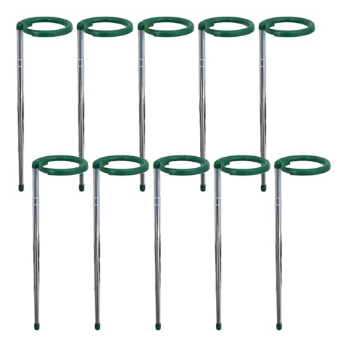 Pflanzenstützstäbe, verstellbare Länge, Pflanzenstützpfähle, Edelstahl-Stielhalter mit Clip für , Tomatenbohnen, Lilien, Sonnenblumen, Bonsai Pflanzenstützstäbe, verstellbare Länge, Pflanzenstützpfähle, Edelstahl-Stielhalter mit Clip für , Tomatenbohnen, Lilien, Sonnenblumen, Bonsai von Nuytghr