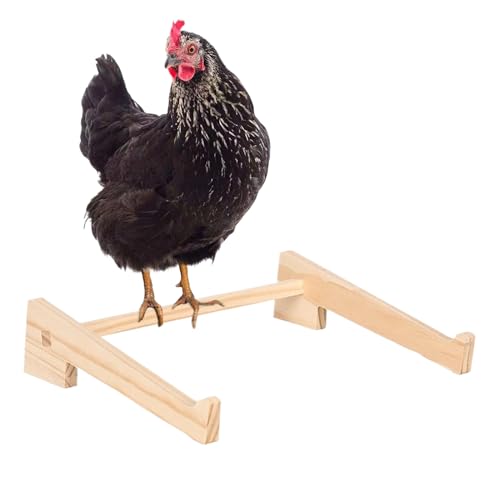 Sitzstange für Hühnerstall – Holz-Sitzstange für Haustiere, zum Spielen, Sitzen, Vogelstall, Geflügel, Bruten, Küken, Hühner, Aktivitätsunterstützung Sitzstange für Hühnerstall – Holz-Sitzstange für Haustiere, zum Spielen, Sitzen, Vogelstall, Geflügel, Bruten, Küken, Hühner, Aktivitätsunterstützung von Nuytghr