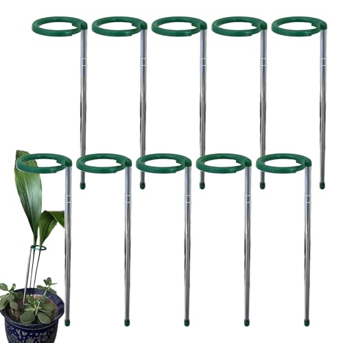 Stäbe für Zimmerpflanzen | Zimmerpflanzenstecker ausziehbar – Edelstahlstange, Stielhalter mit Clip für , Blumen, Sonnenblumen, Pfeffer, Tomaten, Gartenarbeit Stäbe für Zimmerpflanzen | Zimmerpflanzenstecker ausziehbar – Edelstahlstange, Stielhalter mit Clip für , Blumen, Sonnenblumen, Pfeffer, Tomaten, Gartenarbeit von Nuytghr