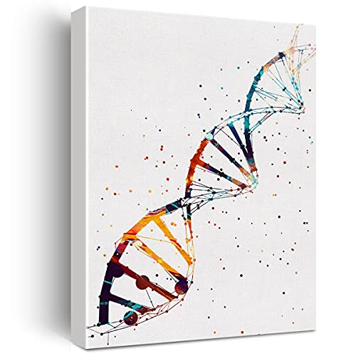 Aquarell DNA Wissenschaft Kunst Leinwand Gemälde abstrakte DNA Single Helix Prints Kunst für Zuhause Wohnzimmer Wanddekoration Gerahmt Genetik Kunstwerk Geschenke (30,5 x 38,1 cm) von Nvhai