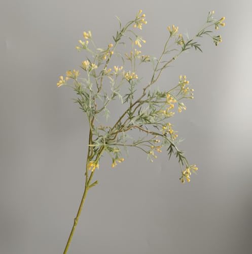 Nvzi Künstliche isländische Vanille, künstliche Blumen, künstliche Blumen, Hochzeitsdekoration, 6 Stück Nvzi Künstliche isländische Vanille, künstliche Blumen, künstliche Blumen, Hochzeitsdekoration, 6 Stück von Nvzi