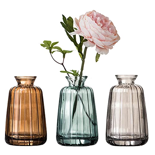 3 Stück Kleine Glas Vasen Set für Tischdeko Glas Blumenvasen Set Mini Vasen Für Tischdekoration Innendekor Hochzeit von Nwvuop