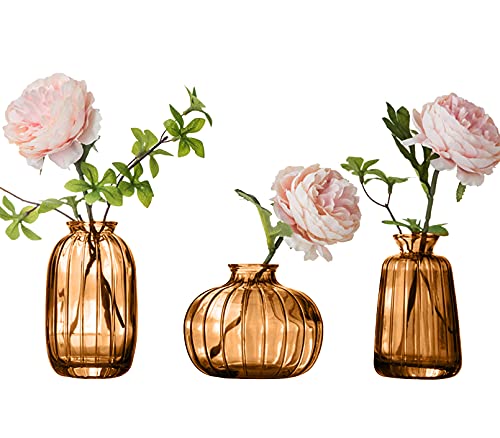3er-Set Kleine Vasen für Tischdeko Dekorativ Glasvasen Blumenvase Set Bud Vase Kaffee von Nwvuop