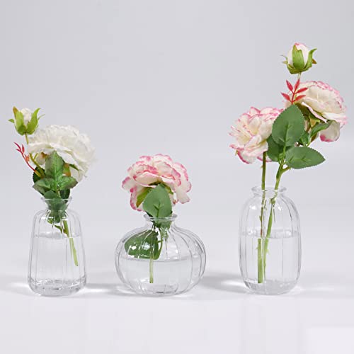 3er-Set Klar Kleine Vasen für Tischdeko Dekorativ Glasvasen Blumenvase Set Bud Vase von Nwvuop