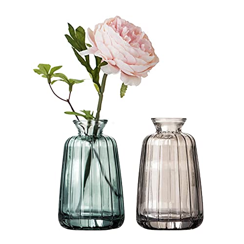 Kleine Glas Vasen Set für Tischdeko Mini Deko Blumenvasen Set Tischvase Set of 2 von Nwvuop