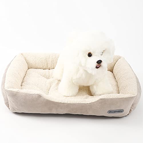 Nyescasa Hundebett Katzenbett Katzenkissen Hundekissen Hundesofa Katzensofa Hundematte Hundecouch Hundekorb Haustierbett für Mittelgroße Hunde Katzen Weich Waschbar Orthopädische Beige M(53*42*11) von Nyescasa