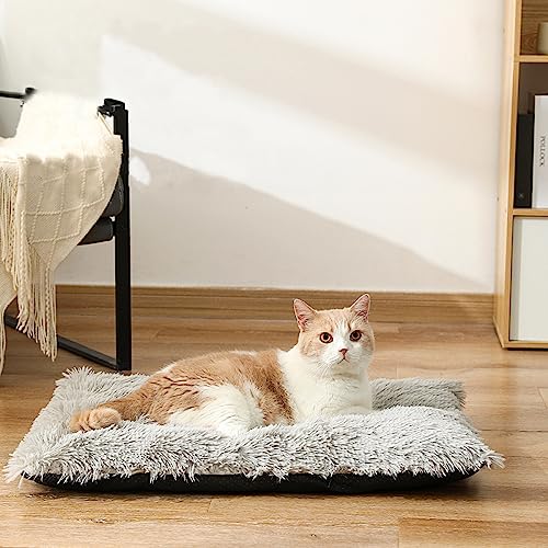 Nyescasa Hundebett Katzenbett Plüsch Hundekissen Katzenkissen Abnehmbar Waschbar Hundematte Flauschig Hundesofa Katzensofa rutschfest Hundematratze für Mittelgroße Hunde Katzen Grau 70 * 50 * 8cm von Nyescasa