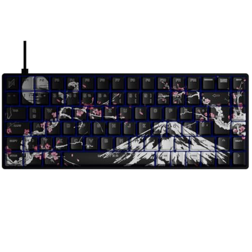 Nyfter - Gaming Keyboard - NYFBOARD GEN2 Gaming Computer Tastatur - mit PBT Sublimation Keycaps Sakura - HOT-SWAPPABLE mechanisch RGB-Hintergrundbeleuchtung ISO-DE Layout für Gamer (Sakura Black, 75%) von Nyfter